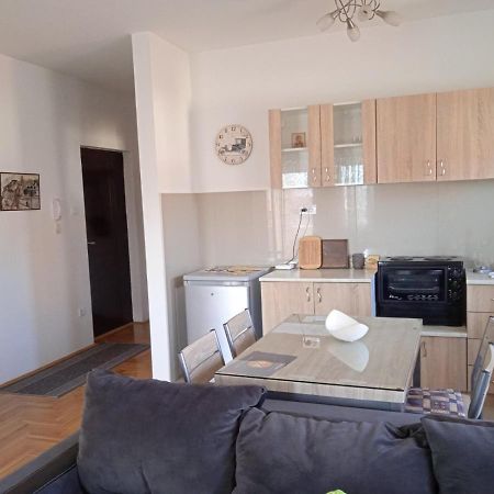 Apartment Srebrni Oblak Arandjelovac Eksteriør bilde