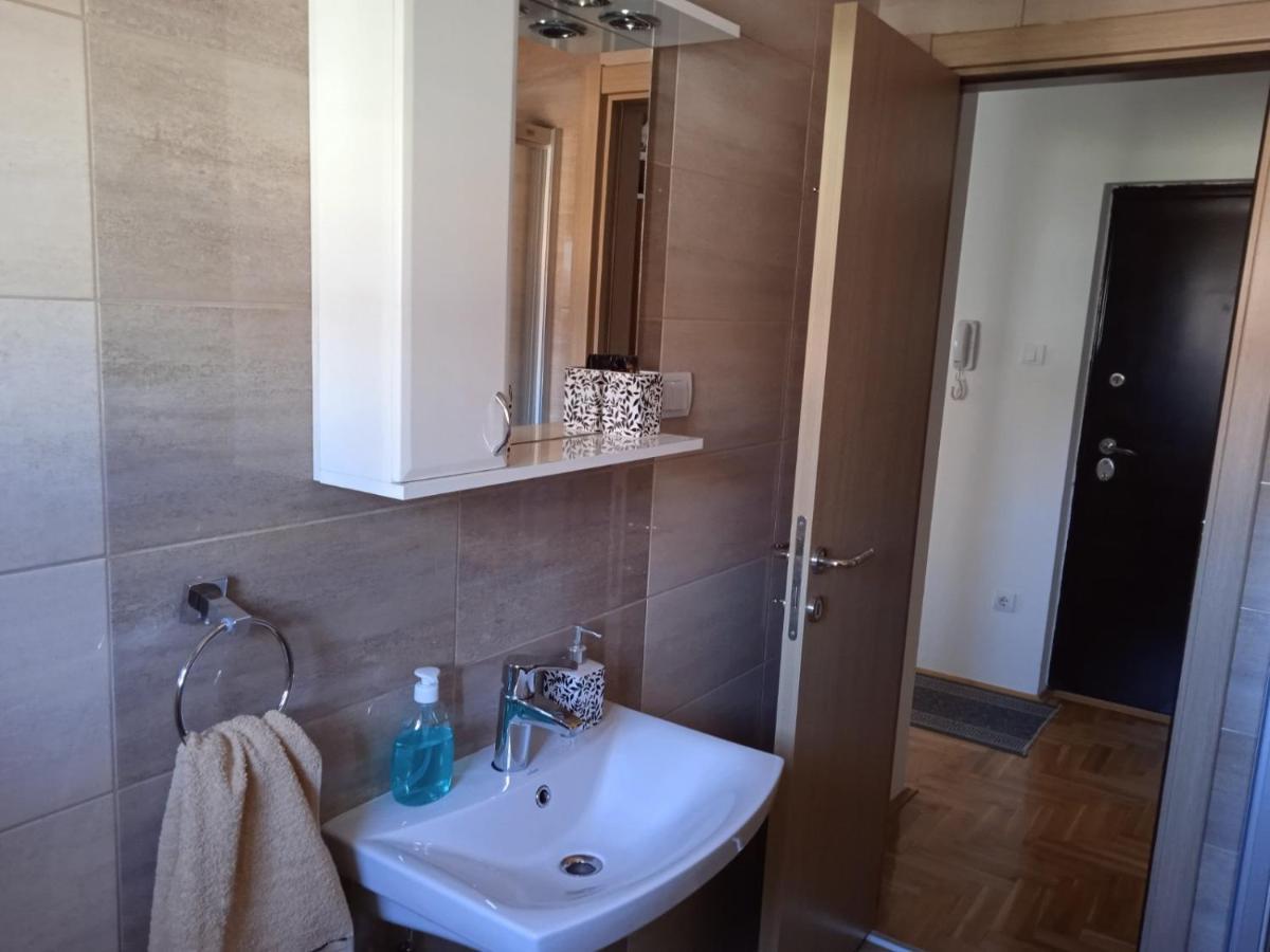 Apartment Srebrni Oblak Arandjelovac Eksteriør bilde