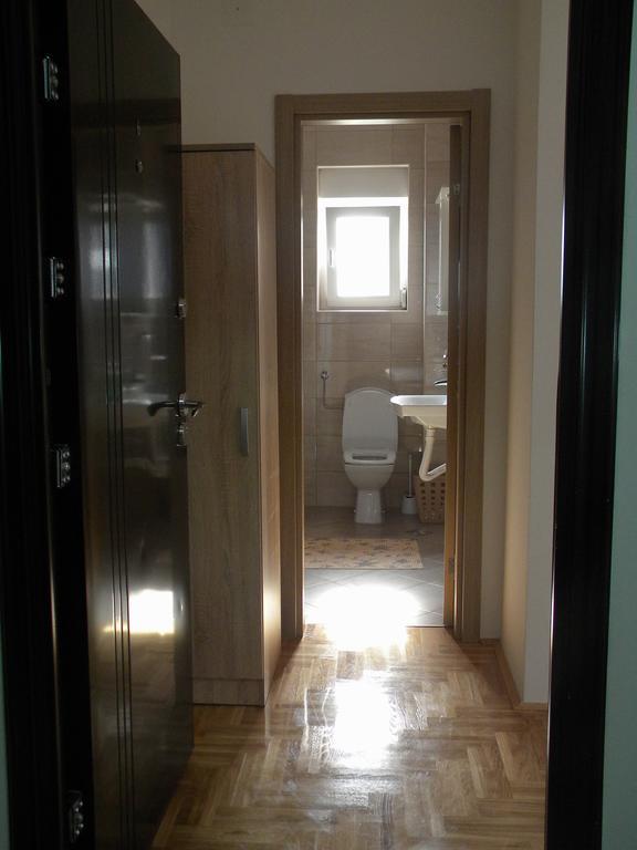 Apartment Srebrni Oblak Arandjelovac Eksteriør bilde