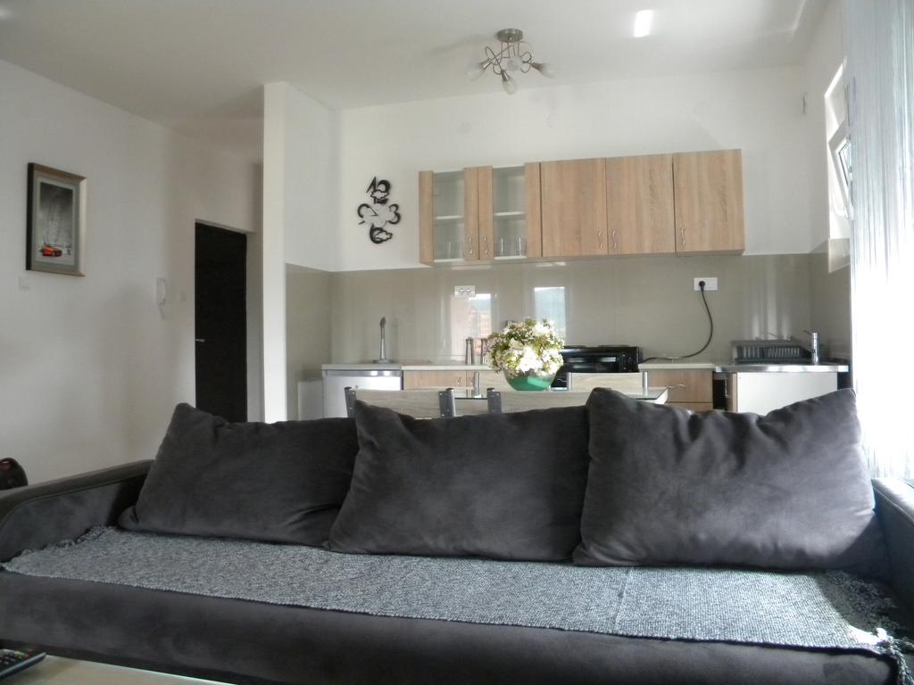 Apartment Srebrni Oblak Arandjelovac Eksteriør bilde